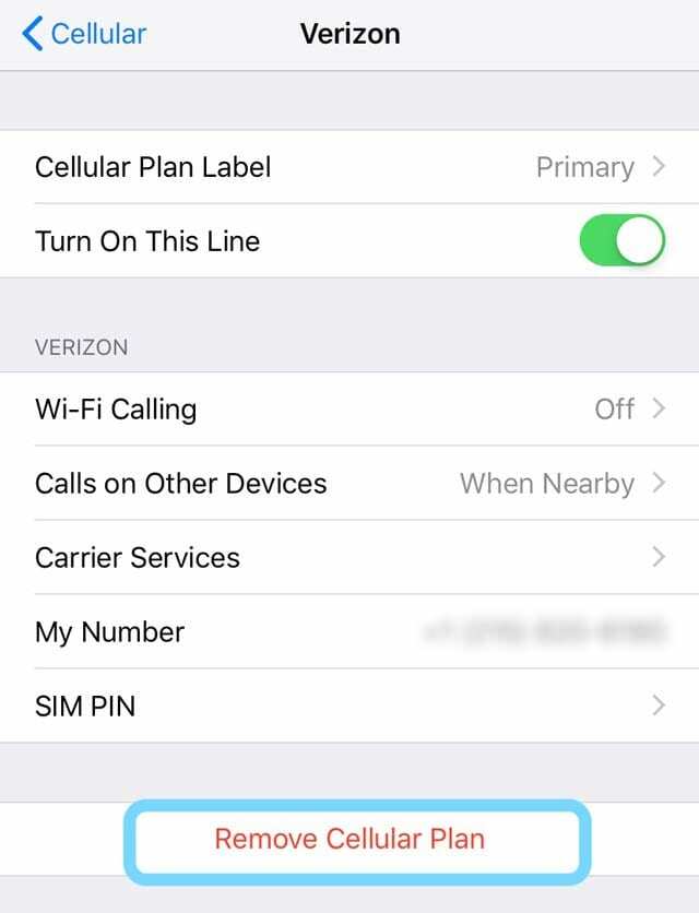 fjern eSIM-plan via mobildataindstillinger på iPhone
