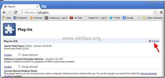 Chrome-plugins-detalii