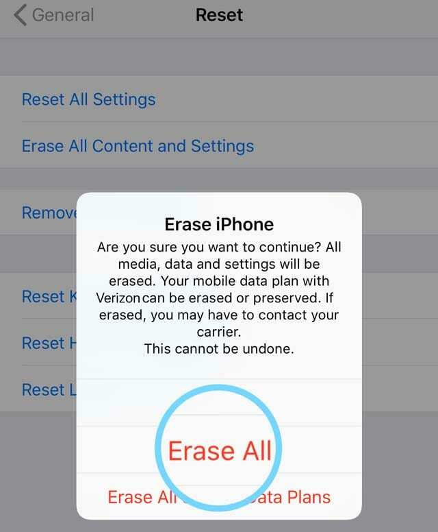 kustutage eSIM-kaart ja andmed iPhone'ist, kasutades rakendust Seaded
