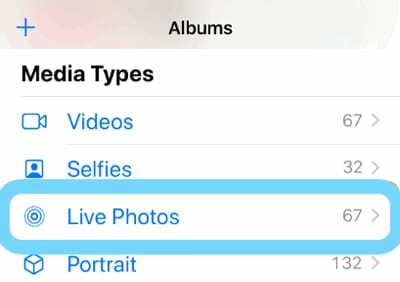 אלבום תמונות חי באפליקציית תמונות אייפון