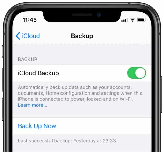 Impostazioni di backup iCloud di iPhone XS che mostrano il pulsante Esegui backup ora