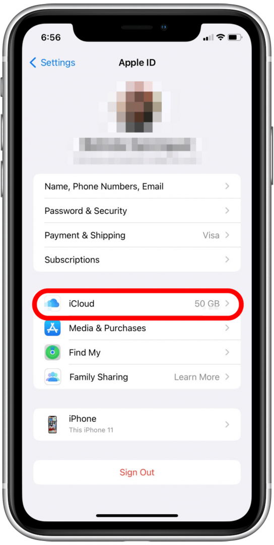 Вибір iCloud в області Apple ID 