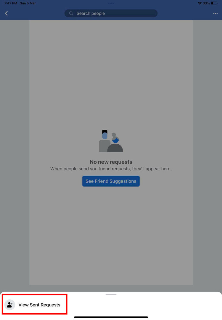 Вкладка просмотра отправленных запросов в приложении Facebook для iOS