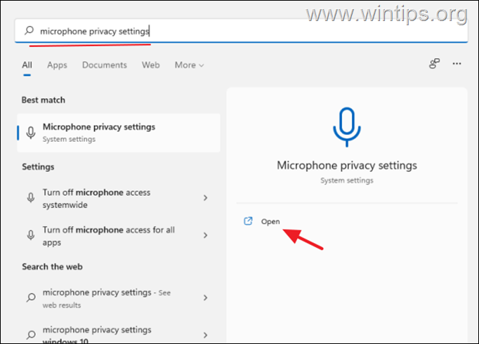 Omogućite pristup mikrofonu Windows 11