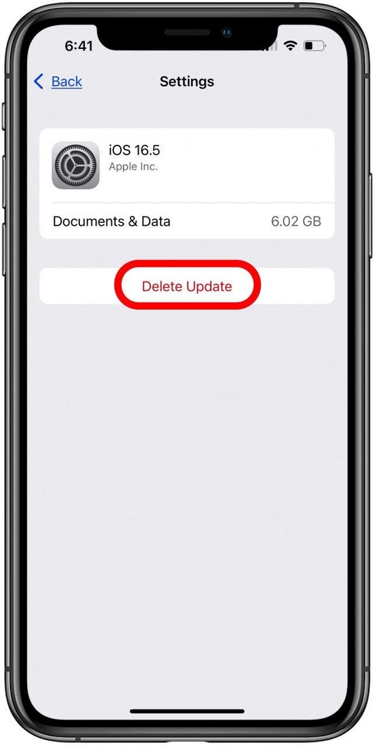 toque eliminar actualización para eliminar la actualización de ipados o ios