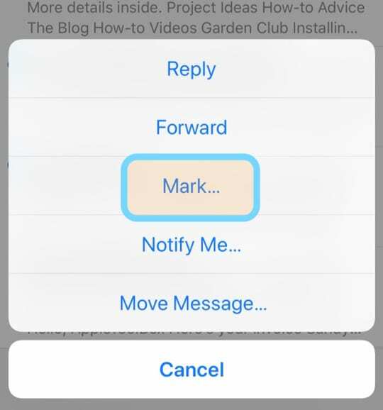 отметить электронное письмо в приложении iOS iPhone iPad Mail