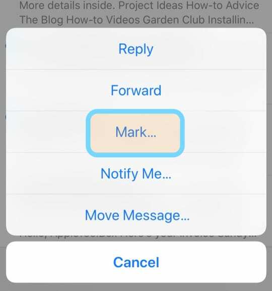 pažymėkite el. laišką iOS iPhone iPad Mail App