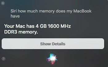 So verwenden Sie Siri auf dem MacBook für die Systemgeschwindigkeit