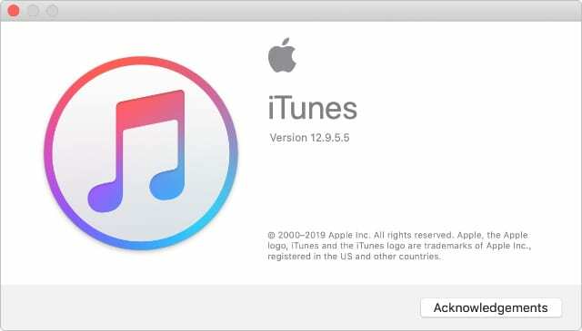 Informazioni sulla finestra di iTunes