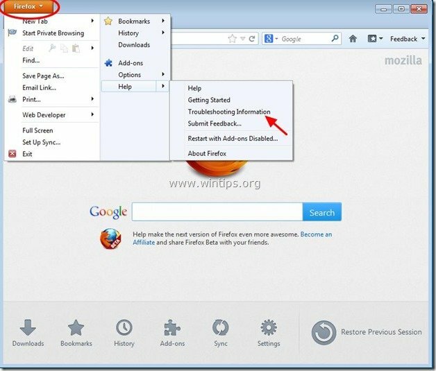 Fehlerbehebung bei Firefox - wintips.org