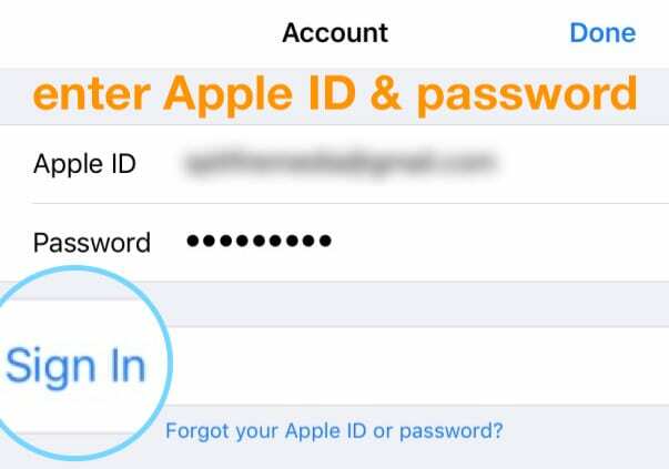 introduceți ID-ul Apple și parola