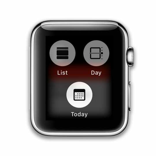 Modos de visualización de calendario para watchOS 5 Apple Watch