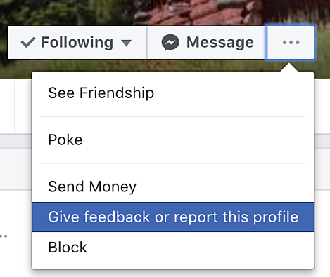 Finestra delle opzioni di feedback di Facebook