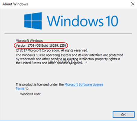 se Windows 10 versjonsbygging