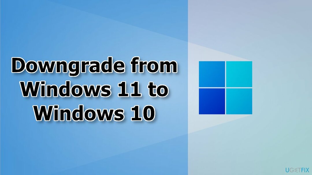 Windows 11에서 Windows 10으로 다운그레이드하는 방법은 무엇입니까? 