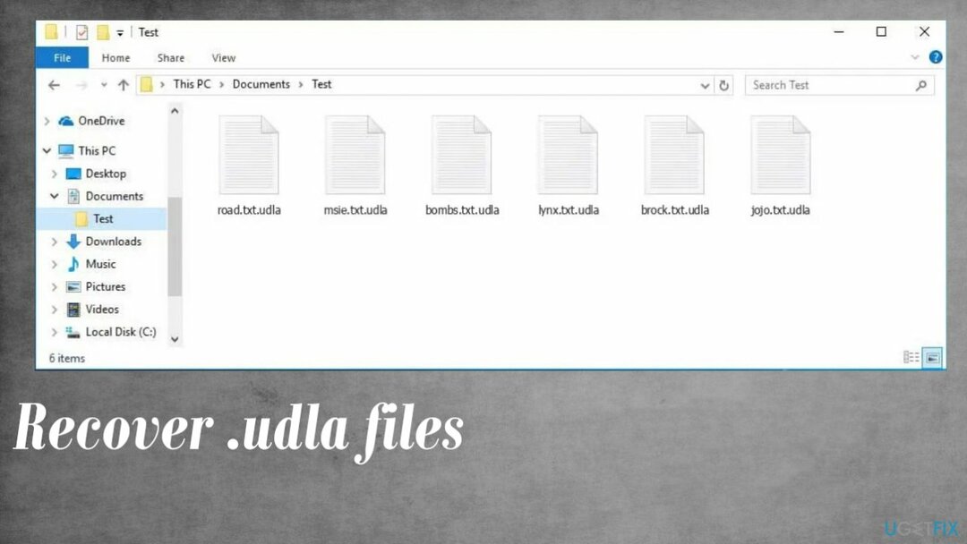 Udla-Ransomware-Dateien