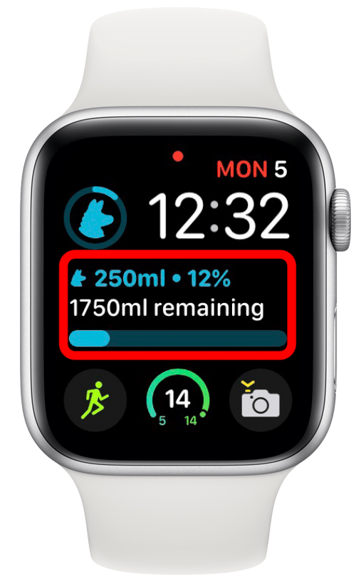 Waterllama water tracker su un quadrante di Apple Watch