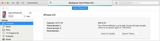 Faceți backup pentru iPhone pe iTunes