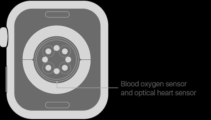 Sensores de oxigênio no sangue Apple Watch Série 6