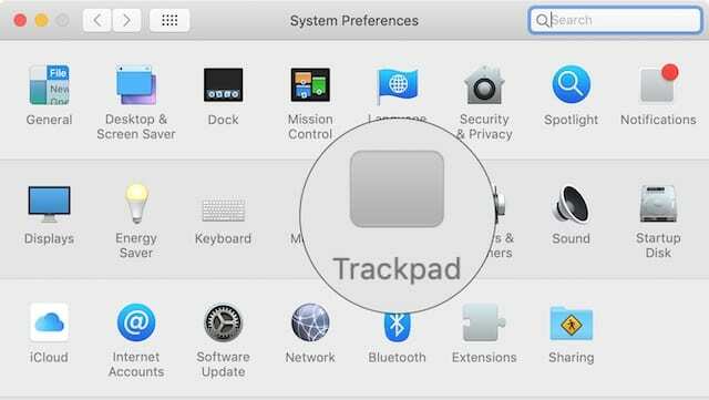 Trackpad sistemos nuostatos