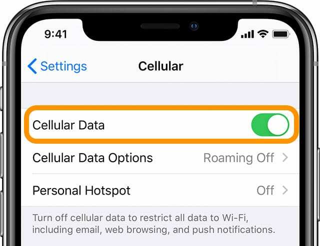 iPhone mengaktifkan data seluler