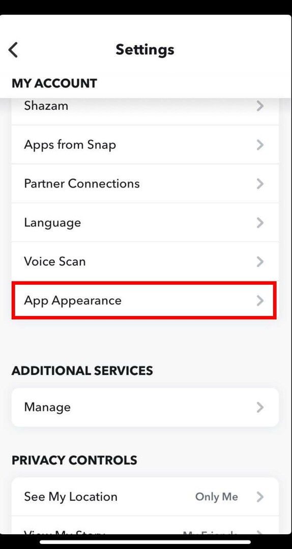 Snapchat'in Ayarlar ekranında Uygulama Görünümü'nü seçin