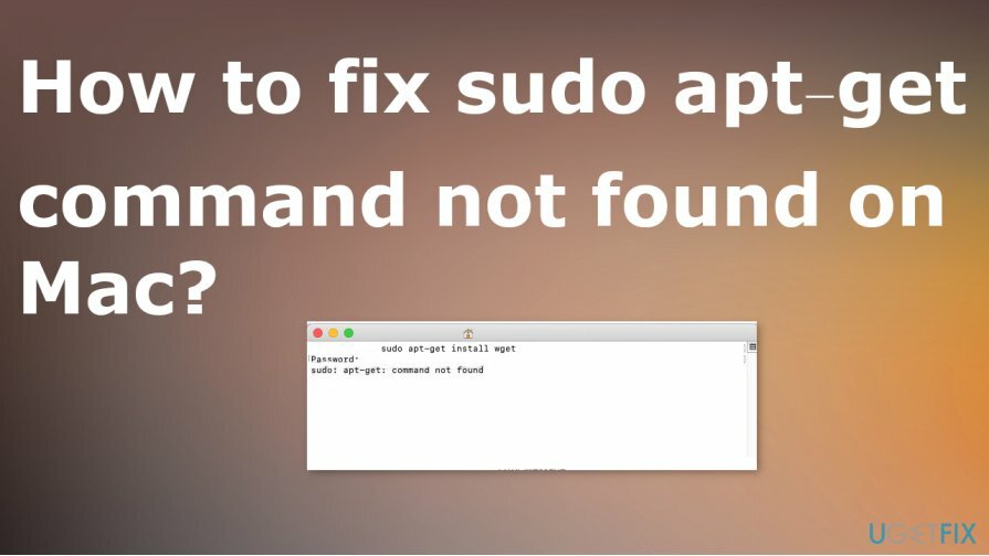 Risolto il problema con il comando sudo apt-get non trovato su Mac