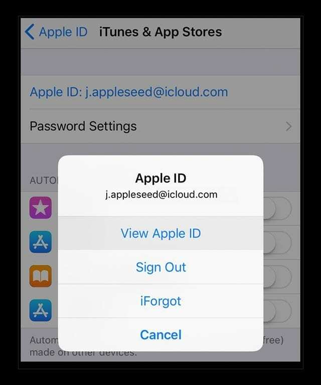 Visualizza le informazioni sull'ID Apple su iPhone utilizzando iOS 11