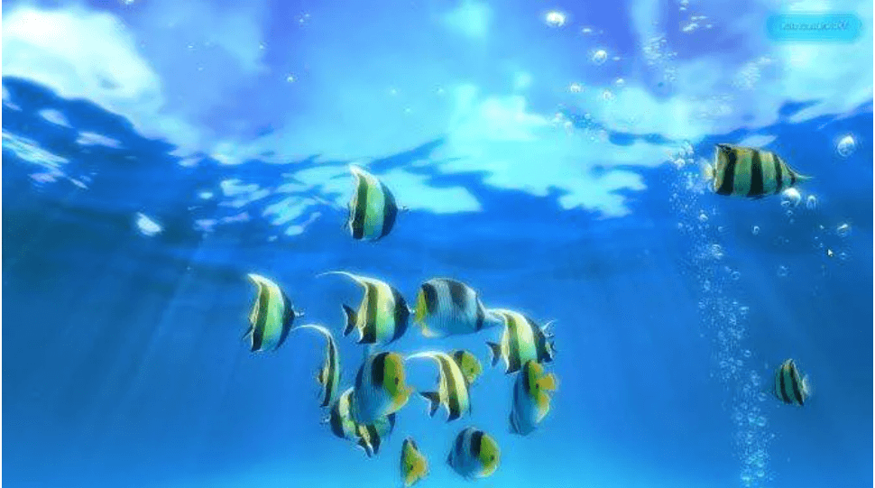 Sim Aquarium 3 - הטפט החי הטוב ביותר בחינם