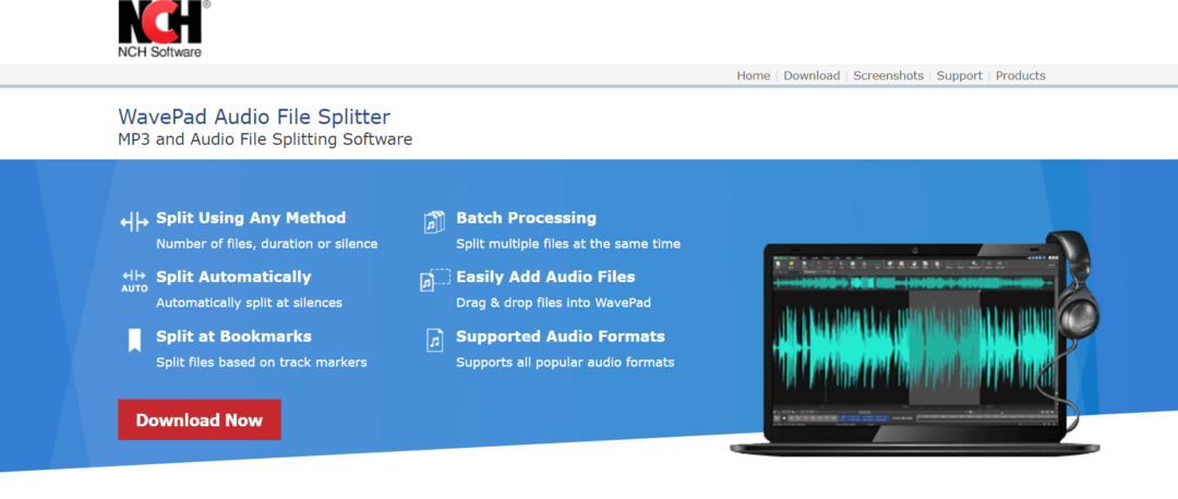 WavePad audio failu sadalītājs