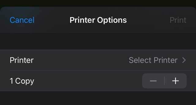 επιλογές εκτυπωτή AirPrint σε iOS και iPadOS