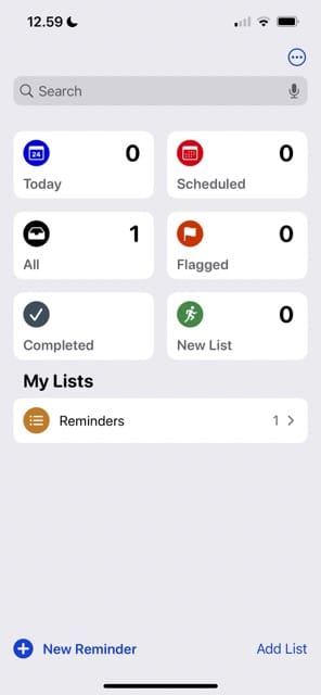 Screenshot mit einer angehefteten Liste in Erinnerungen unter iOS