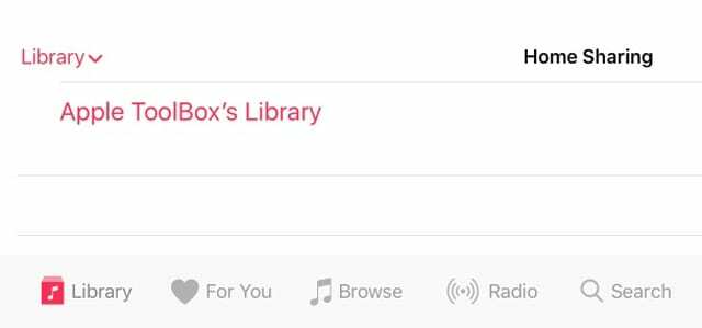 Namų bendrinimo muzikos biblioteka iOS iPad iPhone iPod