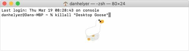 Killall Desktop Goose Terminal-opdracht