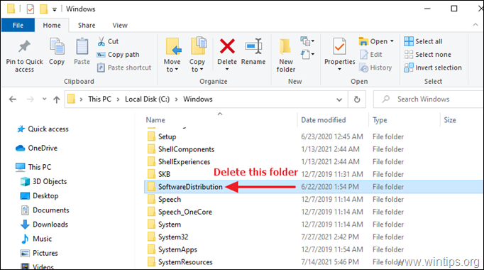 Eliminar la carpeta de Windows Update Store