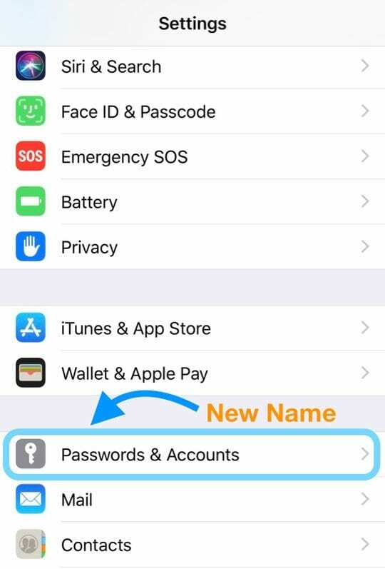 posizione delle password e degli account iOS 12