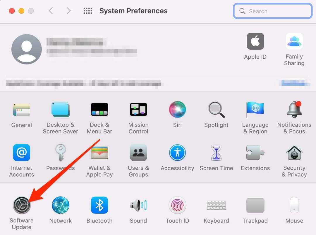 Snímek obrazovky zobrazující ikonu Aktualizace softwaru na Macu