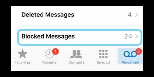 iOS: Engellenen bir numara sesli mesaj bırakabilir mi?