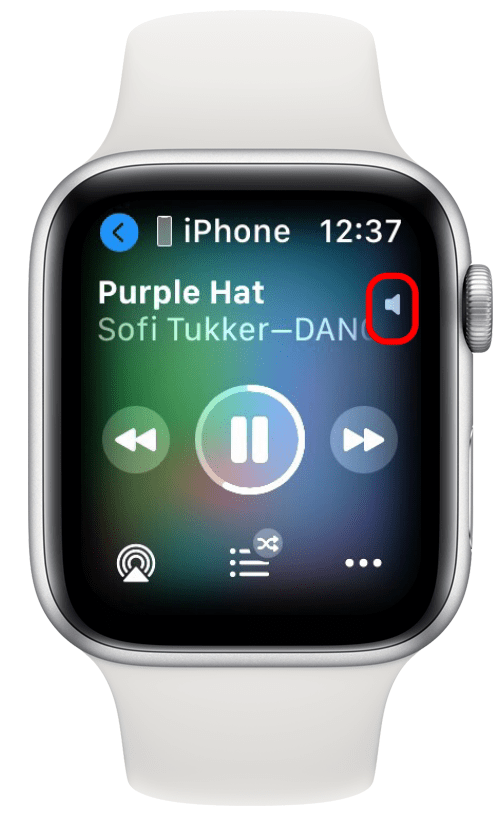 ikona glasnoće Apple Watch