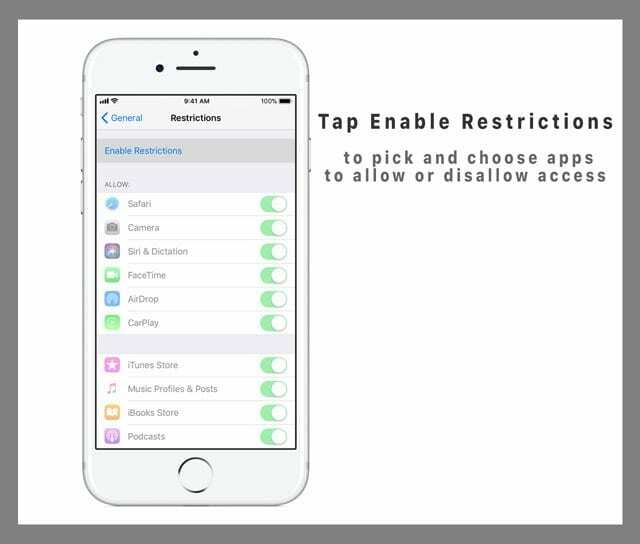 Habilitación de restricciones en iPad