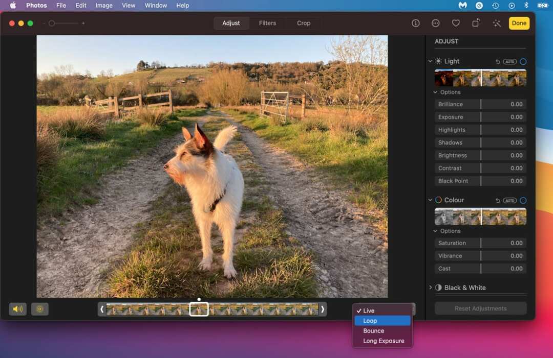 A Live Photos effektusok legördülő menüje Mac rendszeren