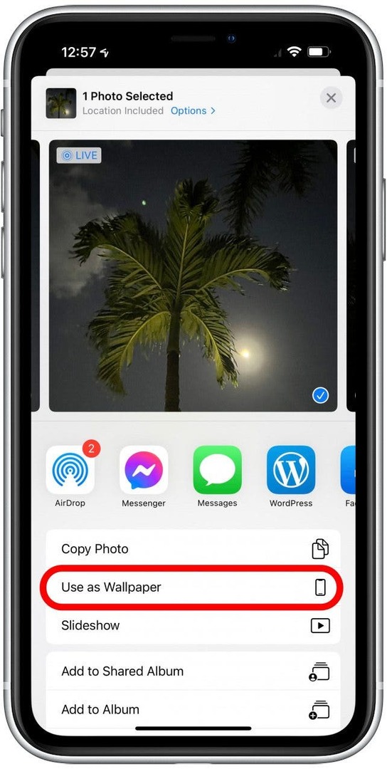 Wählen Sie Als Hintergrundbild verwenden - Standard-Hintergrundbild für das iPhone