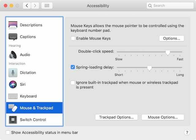 Opzioni mouse e trackpad nelle Preferenze di sistema di accessibilità.
