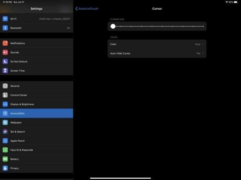 Cursore del mouse in iPadOS