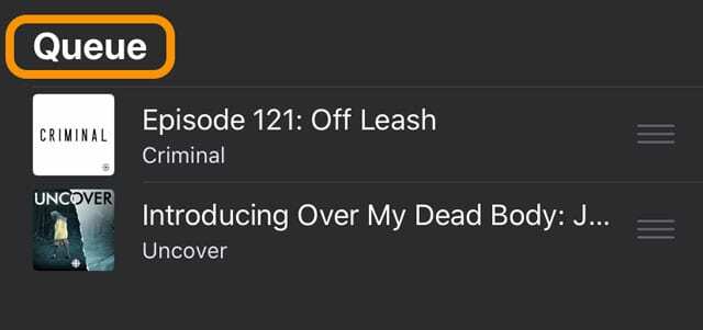 volgende wachtrij in Podcasts-app voor iPhone iPad en iPod iOS 13 en iPadOS