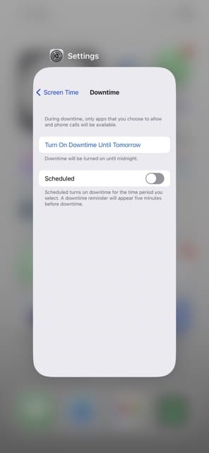 iPhone'daki Ayarlar uygulamasını kapatmak için yukarı kaydırın
