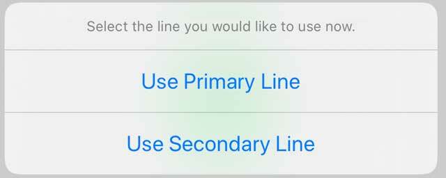 selecteer de lijn op eSIM en Dual Sim iphones