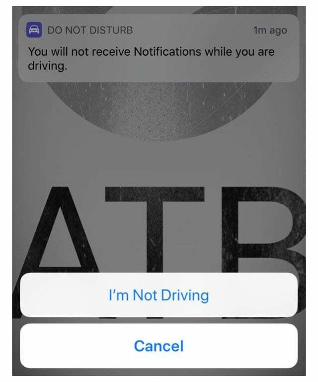 Slik aktiverer eller deaktiverer du Ikke forstyrr mens du kjører på iPhone