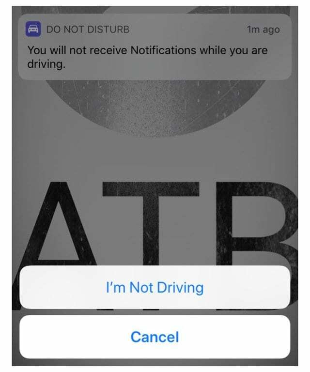Cum să activați sau să dezactivați Nu deranjați în timp ce conduceți pe iPhone