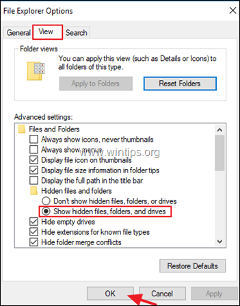mostrar arquivos ocultos, pastas do Windows 10-8